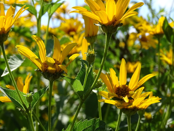 Changing Negative Self-Talk